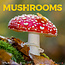 Mushrooms Calendar 2025