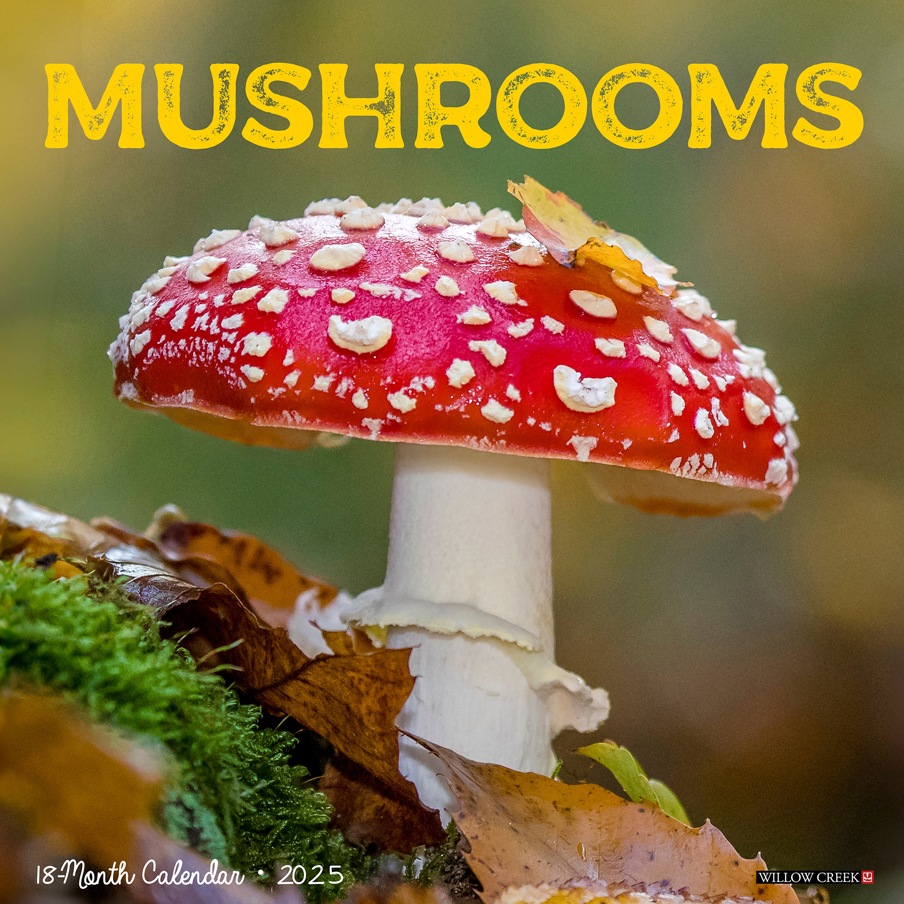 Paddenstoelen Kalender 2025