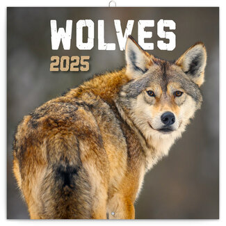 Presco Wolves Calendar 2025