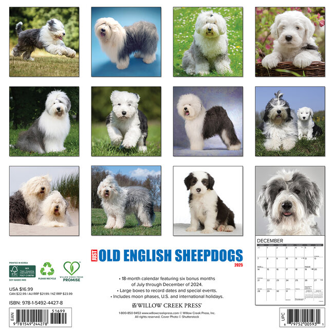 Bobtail / Old English Sheepdog Calendar 2025 Buy? Order easily
