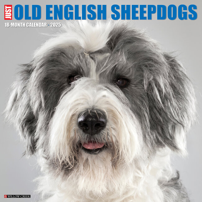 Willow Creek Bobtail / Old English Sheepdog Kalender 2025