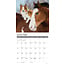 Animal Friends Calendar 2025