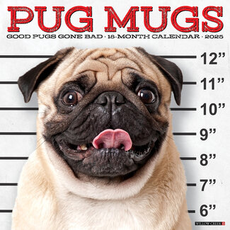 Willow Creek Calendario Pug 2025