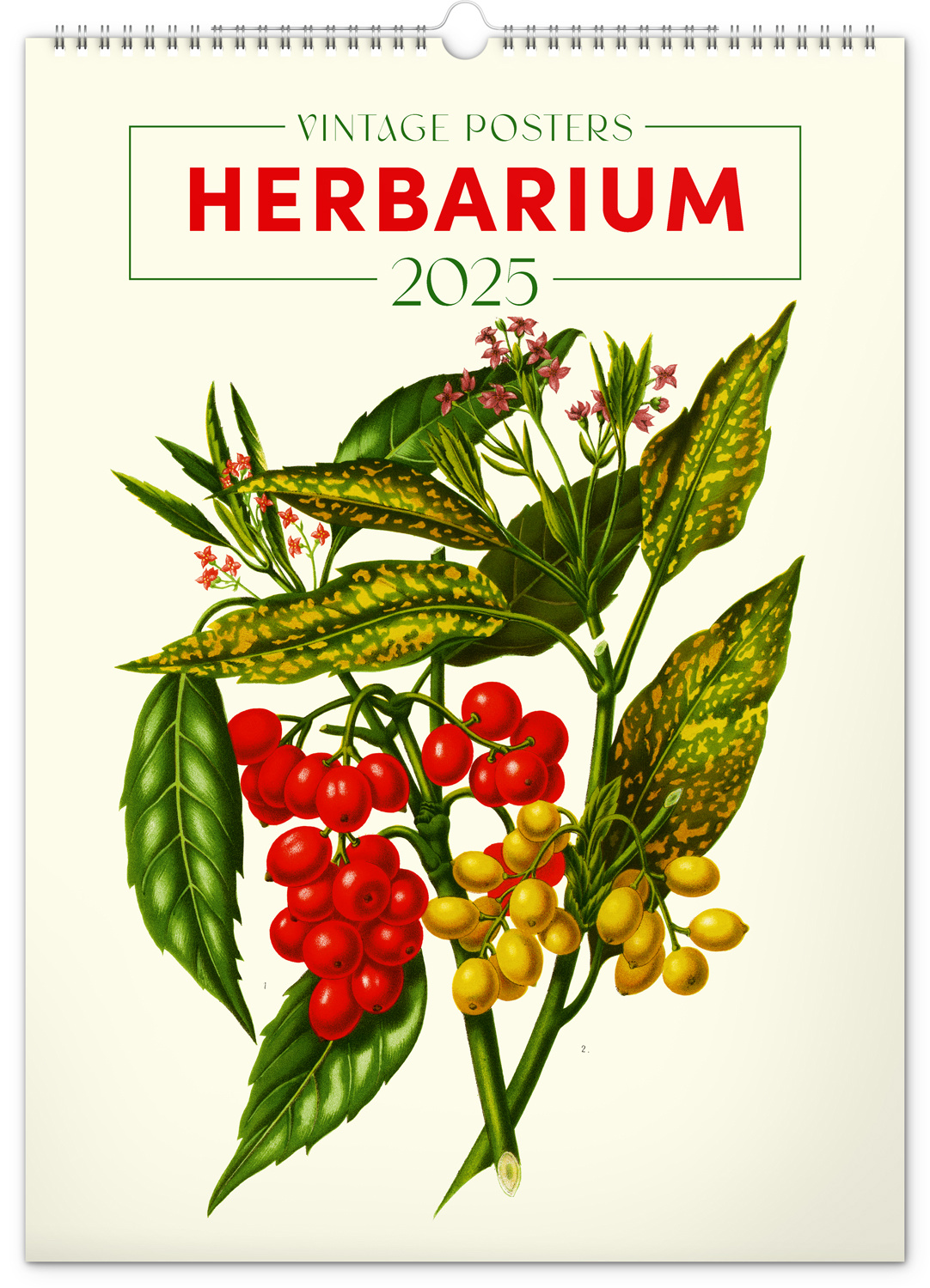 Vintage Posters Buy Herbarium Calendar 2025? Order easily