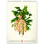 Vintage-Poster - Herbarium-Kalender 2025