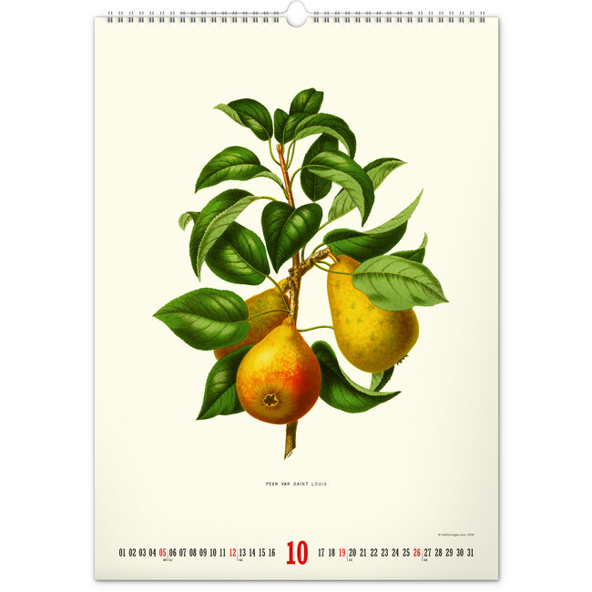 Vintage Posters Buy Herbarium Calendar 2025? Order easily