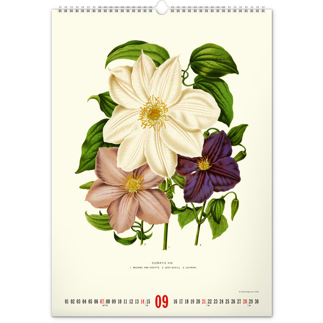 Vintage Posters Buy Herbarium Calendar 2025? Order easily
