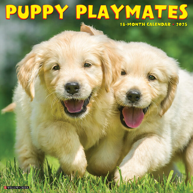 Calendario Puppy Playmates 2025