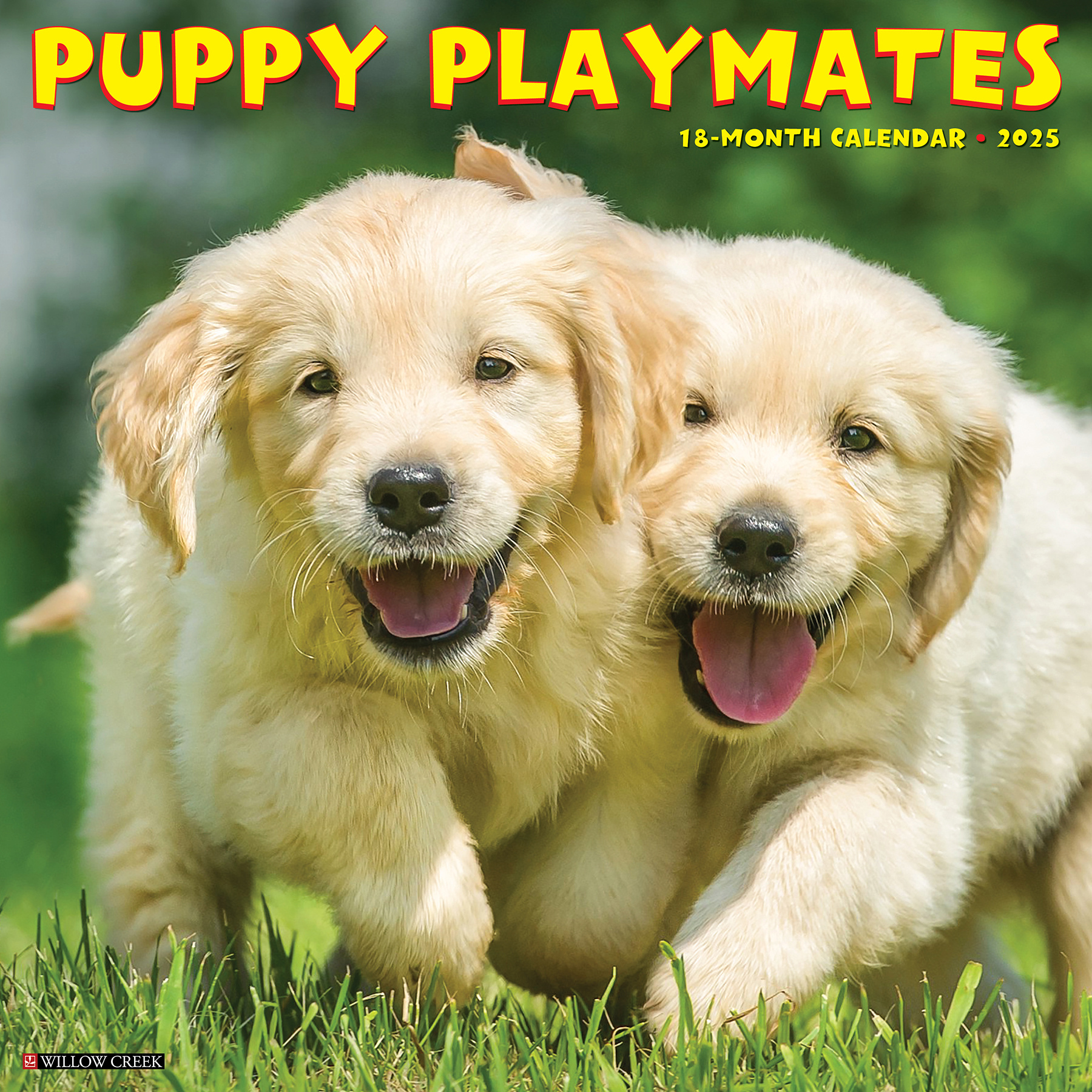 Puppy Playmates Kalender 2025