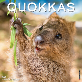 Willow Creek Calendario Quokkas 2025