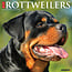 Rottweiler Kalender 2025