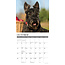 Schotse Terrier Kalender 2025