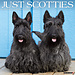 Willow Creek Scottish Terrier Calendar 2025