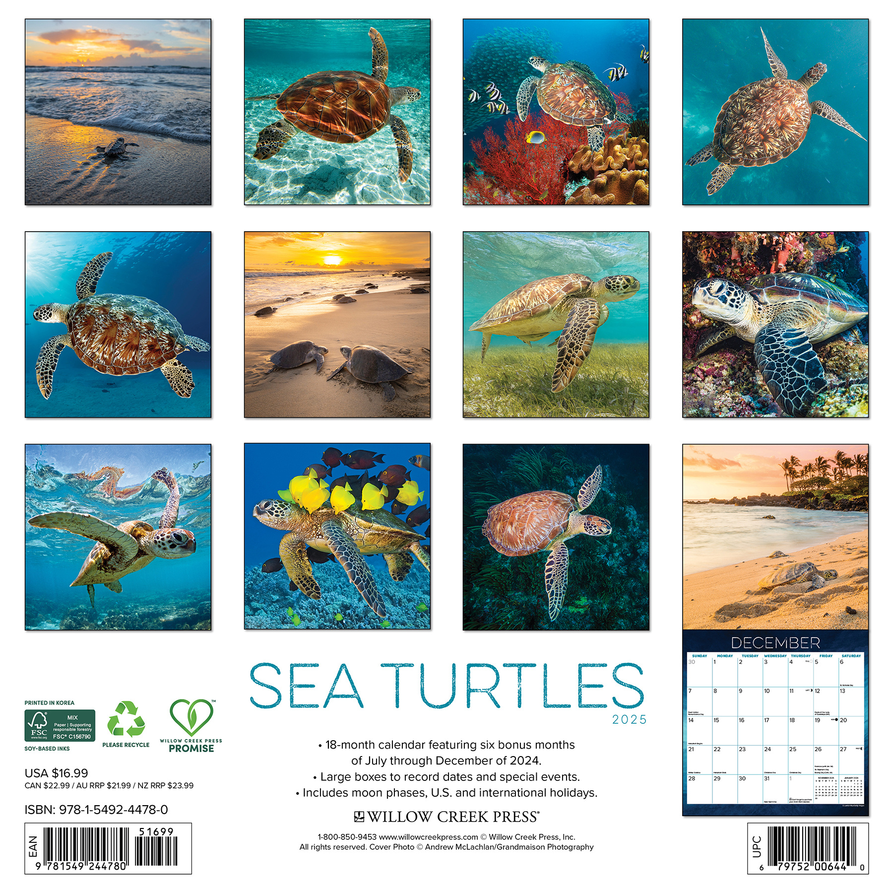 Ostional Turtle Calendar 2025 Randa Carolyne Calendar 2025 Order Online