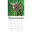 Calendrier des cerfs 2025