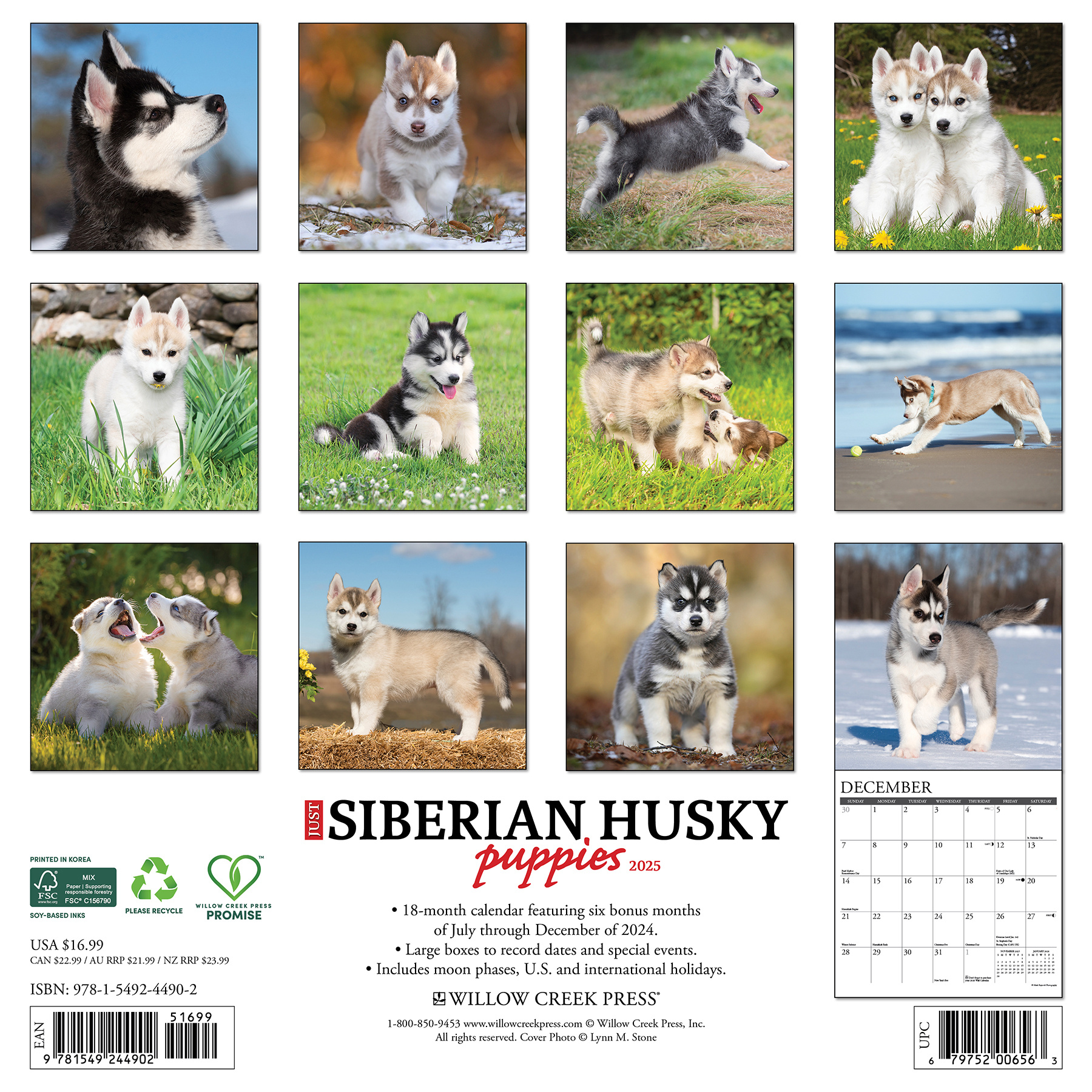 Buy Siberian Husky Puppies Calendar 2025? Order easily online