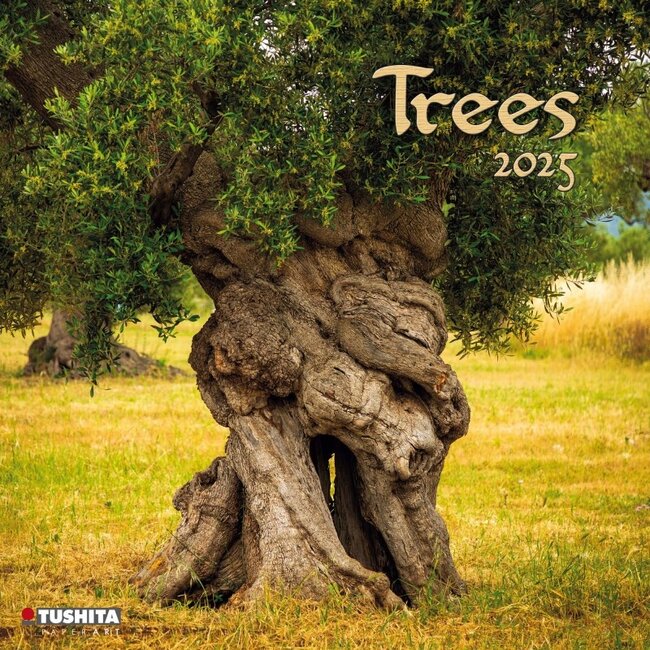 Tushita Bäume Kalender 2025