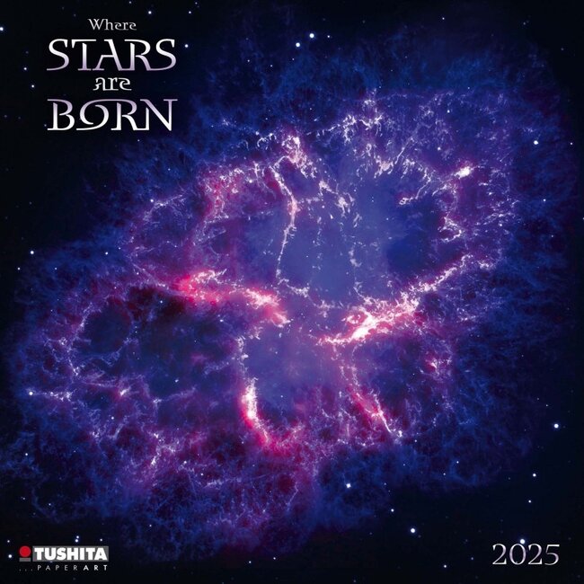 Tushita Donde nacen las estrellas Calendario 2025