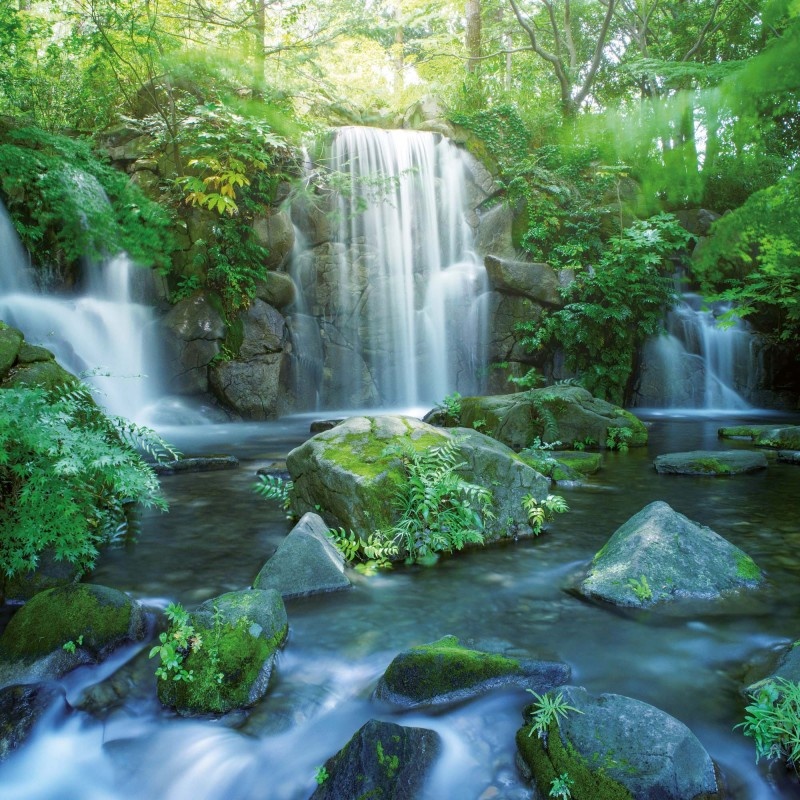 Acheter Calendrier Jardin Japonais 2025 commander simplement en ligne Kalenderwinkel.nl