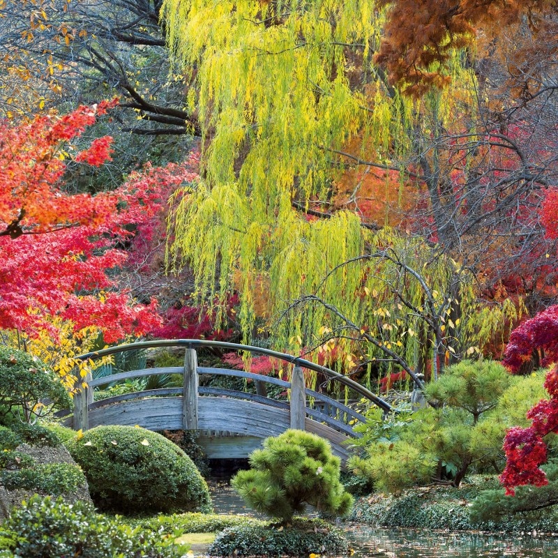 Buying Japanese Garden Calendar 2025 simply order online