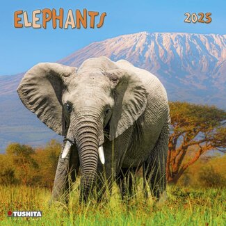 Tushita Elephant Families Calendar 2025