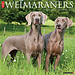 Willow Creek Calendario Weimaraner 2025