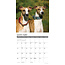 Calendrier Whippet 2025