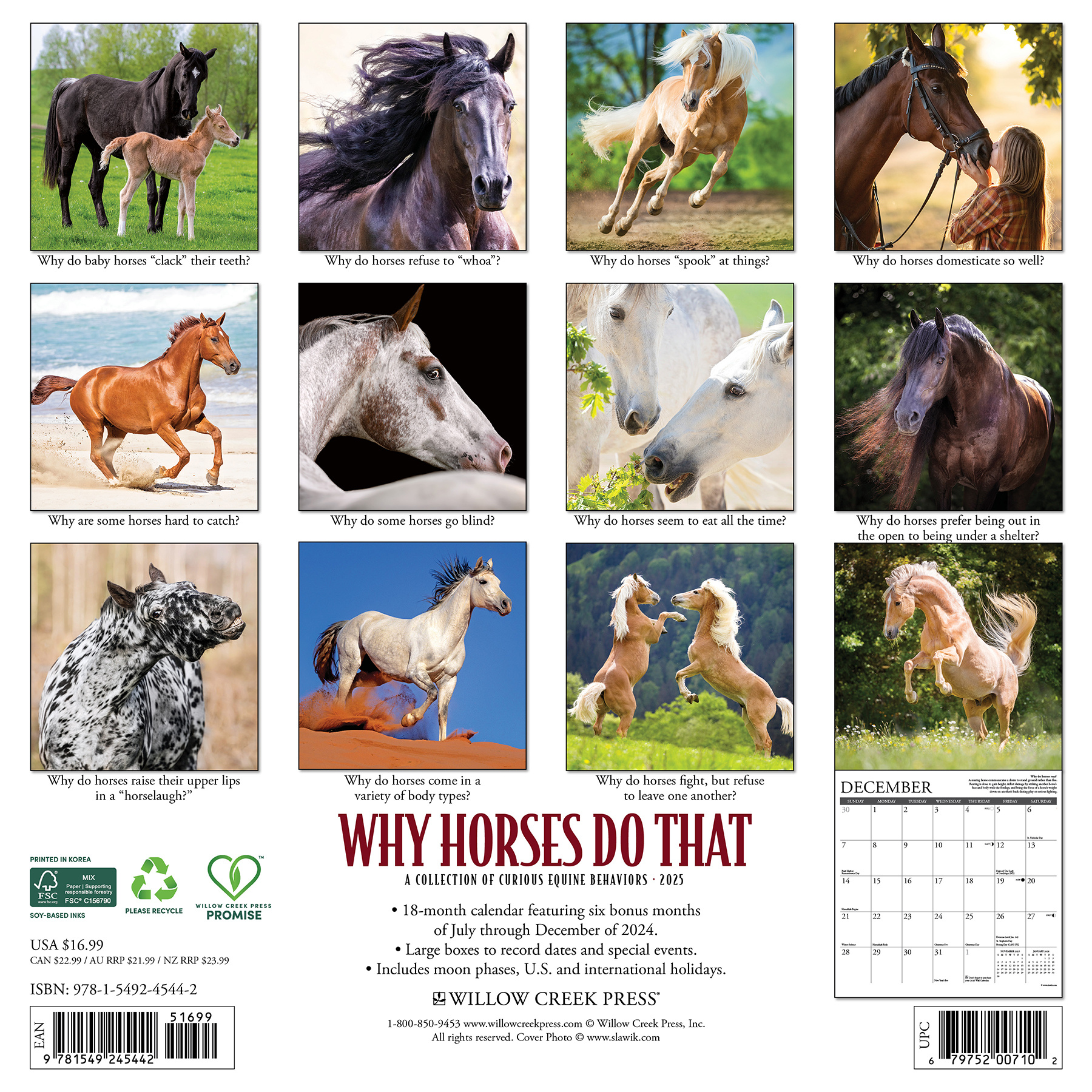 Why Horses Do That Calendar 2025 Buy | Order Easily Online