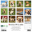 Calendario del Labrador Retriever biondo 2025