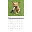 Calendario del Labrador Retriever biondo 2025