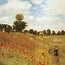 Monet Kalender 2025  A Walk in the Country