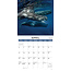 Calendrier des baleines 2025