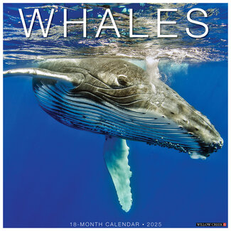 Willow Creek Calendrier des baleines 2025