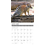 Wildtierkalender 2025