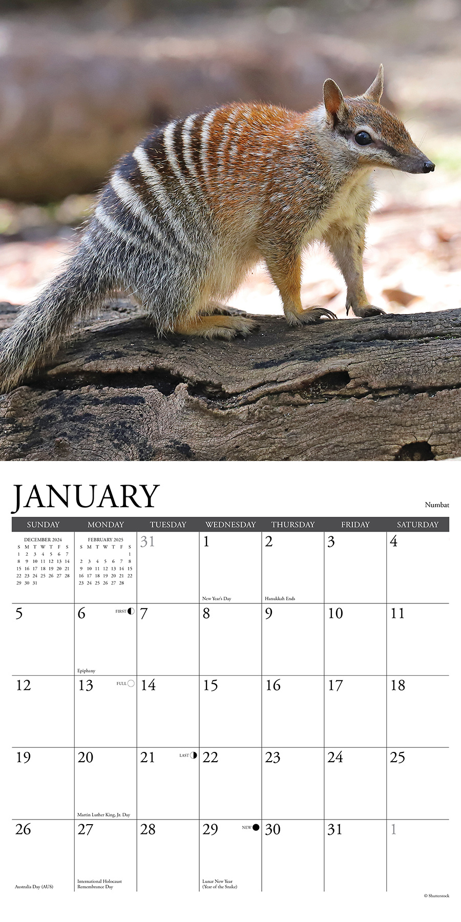 Wilde Dieren Kalender 2025 Kopen? Bestel eenvoudig en snel Online
