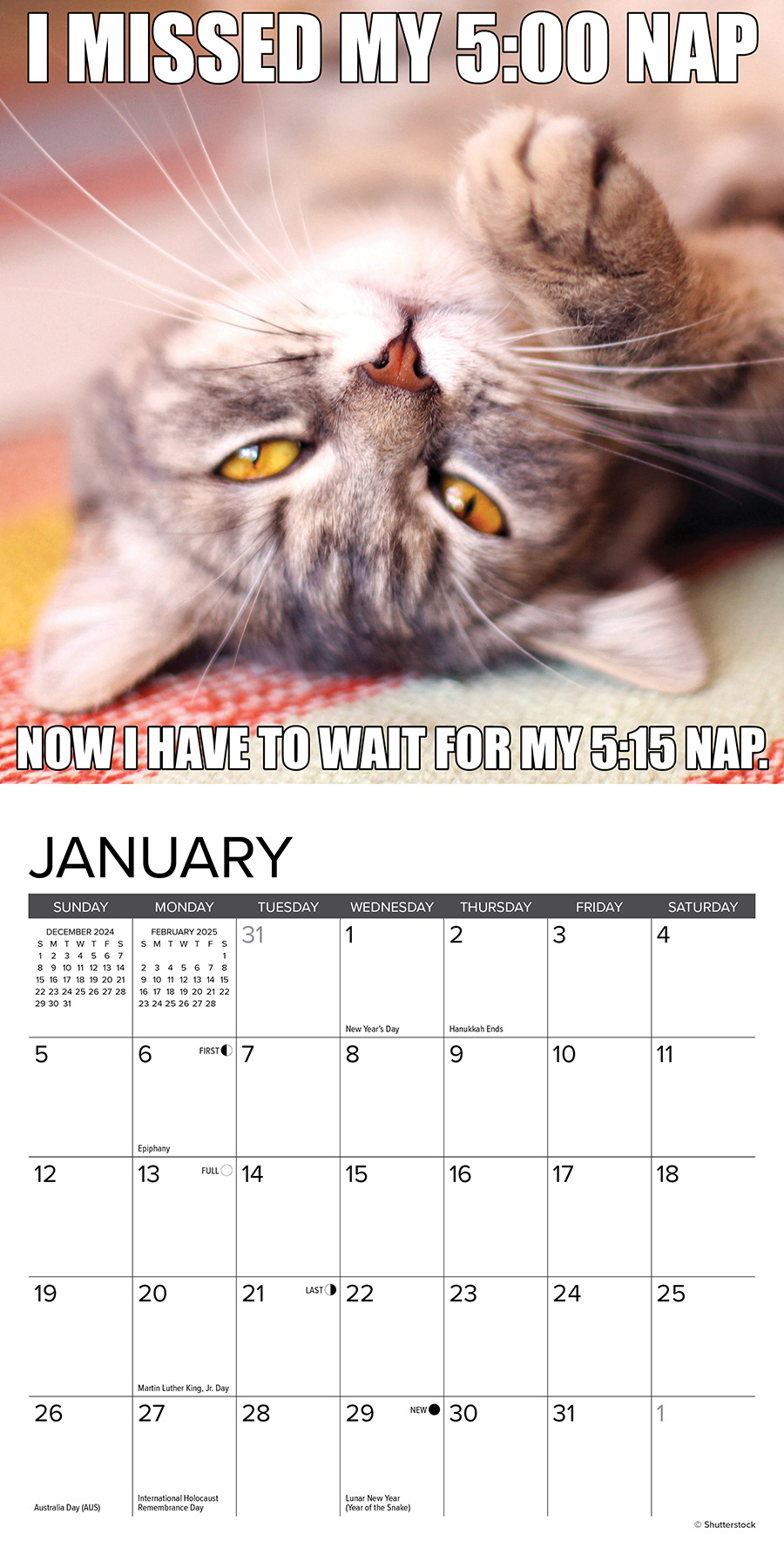 Buy Catastrophe Calendar 2025 Mini? Order online quickly and easily