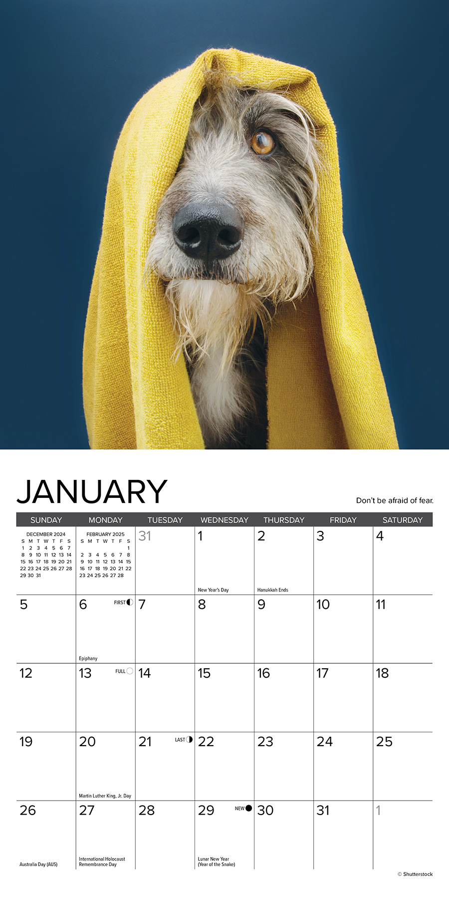 Comprare Cosa ci insegnano i cani Calendario 2025 Mini? Ordinate