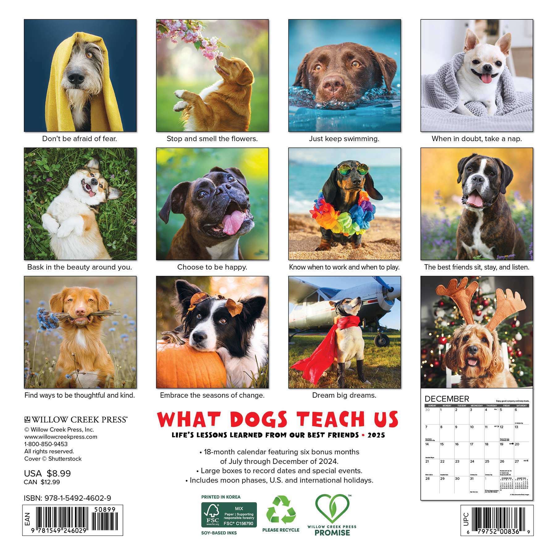Comprare Cosa ci insegnano i cani Calendario 2025 Mini? Ordinate