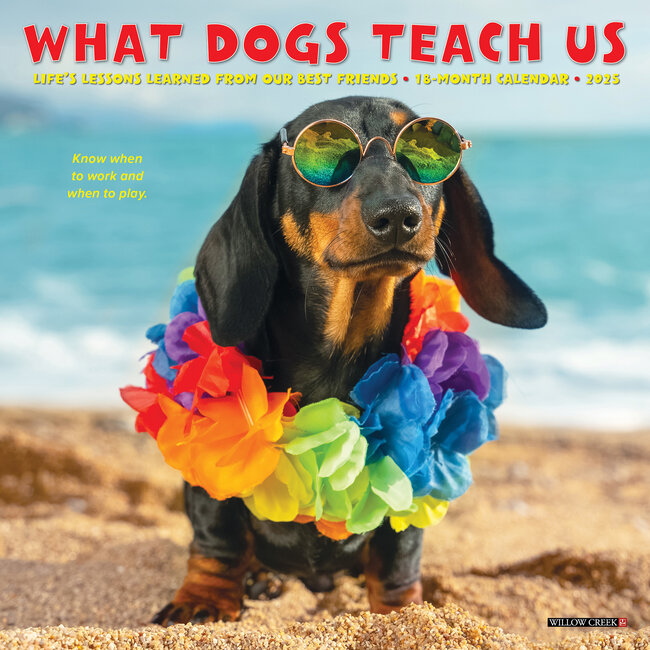Lo que los perros nos enseñan Calendario 2025 Mini