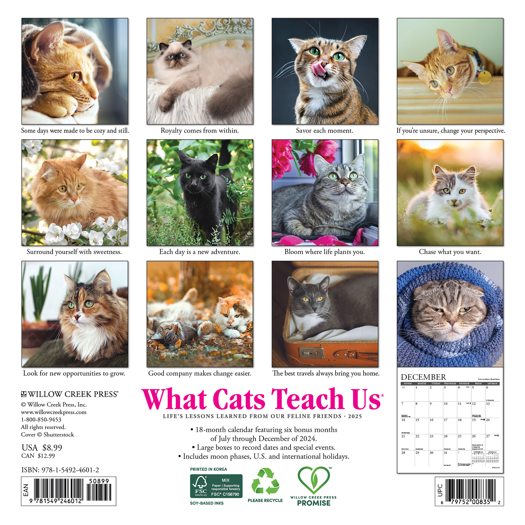 What Cats Teach Us Kalender 2025 Mini Kopen? Bestel eenvoudig Online