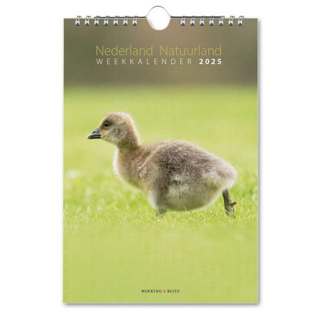 Calendario semanal del terreno natural de los Países Bajos 2025