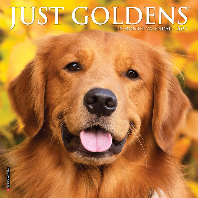 Willow Creek Golden Retriever Calendario 2025 Mini