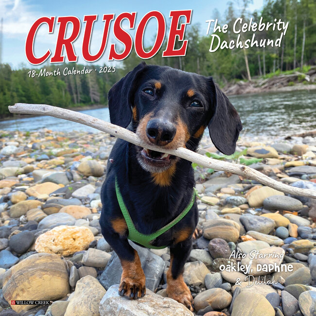 Crusoe le Teckel Calendrier 2025 Mini