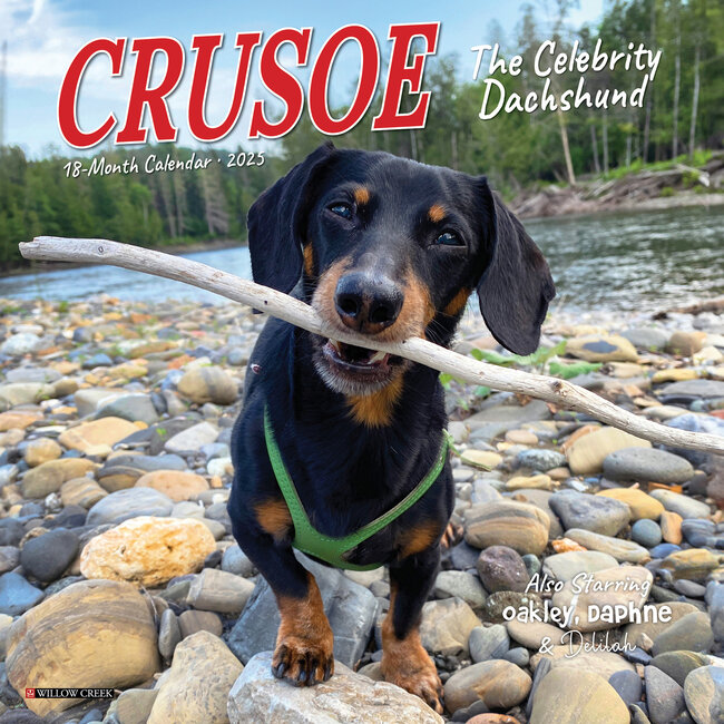 Willow Creek Crusoe il bassotto Calendario 2025 Mini