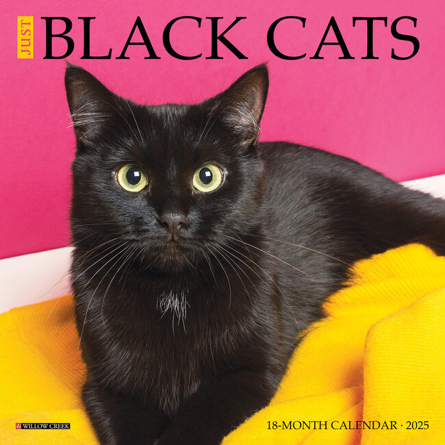 Willow Creek Black Cat Calendar 2025 Mini