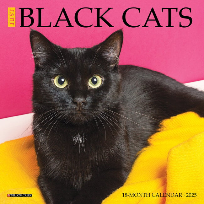 Willow Creek Calendario del gatto nero 2025 Mini