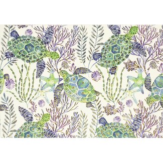 Peter Pauper Sea Turtles Note cards 14 pieces