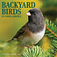 Garden Bird Calendar 2025 Mini