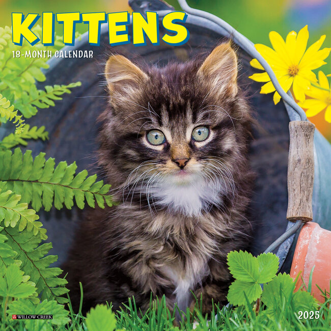 Kittens Calendar 2025 Mini