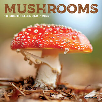 Willow Creek Calendrier des champignons 2025 Mini